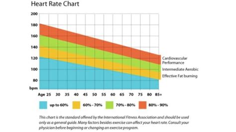 Understanding Resting And Maximum Heart Rate Flotrack