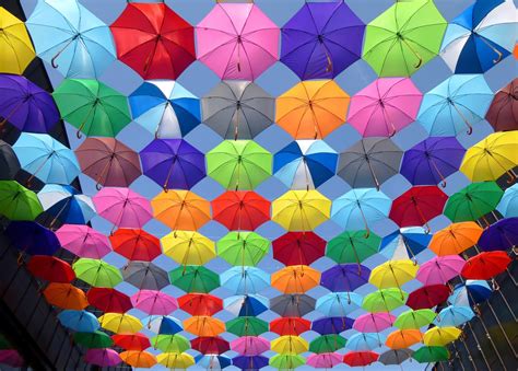 Colored Umbrellas Image Free Stock Photo Public Domain Photo Cc0