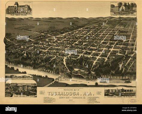 Perspective Map Of Tuskaloosa Ala County Seat Of Tuskaloosa Co 1887
