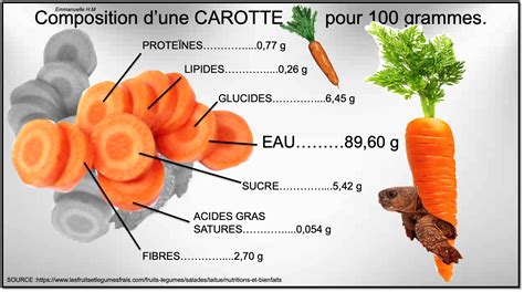 Composition Des Légumes Salade Tomate Concombre Endive Carotte