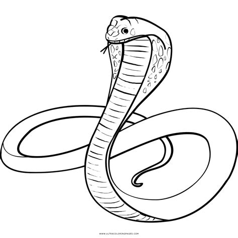 Dibujo De Serpiente Para Colorear Ultra Coloring Pages
