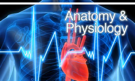 Using the international anatomical terminology. Science • Page - Boyne City High School