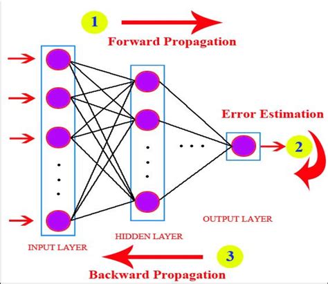 Architecture Of Three Layer Feed Forward Ann With Back Propagation