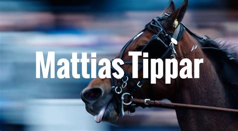 Se vad experterna ger för tips till v75 på lördag. Mattias Pettersson » Travtips | Travstugan.se