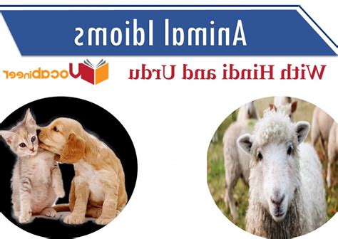Recite ka matalab hindi me kya hai (recite का हिंदी में मतलब ). Mammals Meaning In Hindi - Pets Lovers