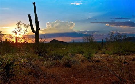 Sunset Over Cactus By Mattgranzphotography Sunset State Parks