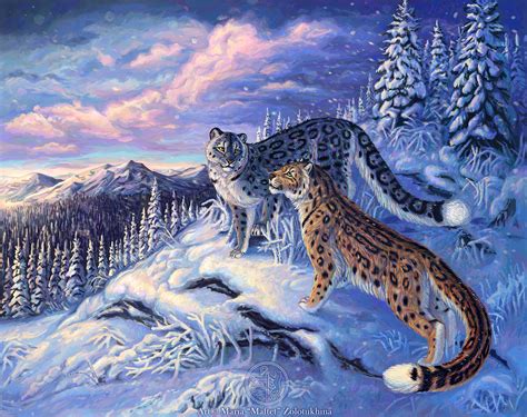 Snow Leopard HD Wallpaper | Background Image | 2010x1593 | ID:397635