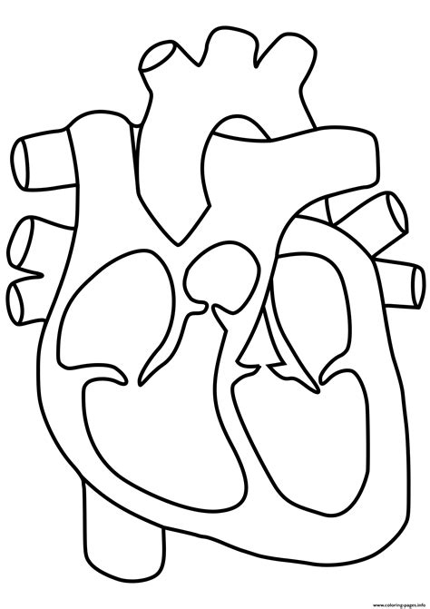 Sep 26, 2019 ·  read: Human Heart Coloring Pages Printable