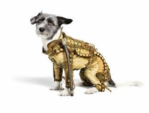 Pin By John Struan On Role Playing Avatars Cute Dog Costumes Dog