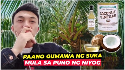 How To Make Coconut Vinegar Paano Gumawa Ng Suka Sa Niyog Youtube