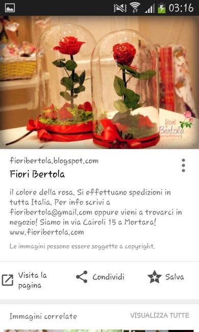 Dos de ellas, felicie y adelaide, explotan a su hermana pequeña bella. Rosa la bella e la bestia! - Fai da te - Forum Matrimonio.com