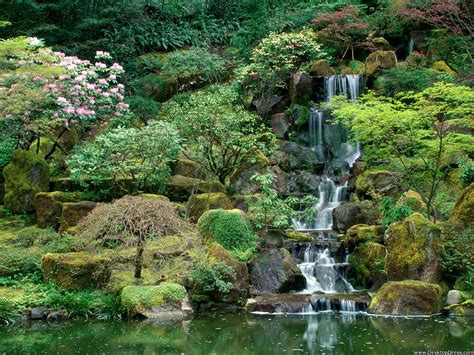 Desktop Wallpapers Natural Backgrounds Japanese Gardens Portland