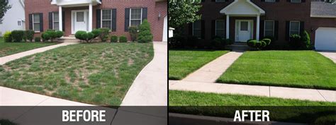 Purelawn Photo Gallery Cincinnati And Dayton Organic Lawn Care Service