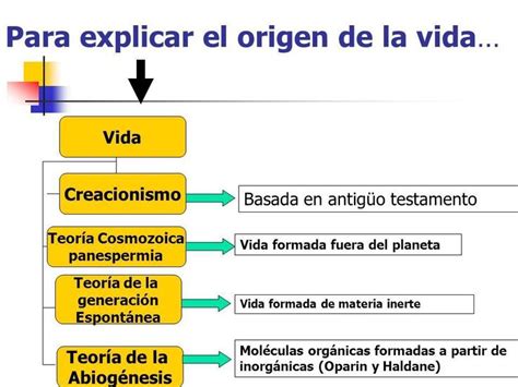 Las Teorias De El Origen De La Vida Rela