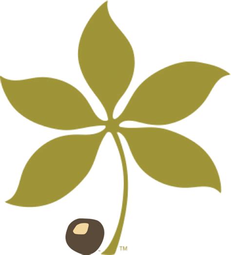 Buckeye Leaf Png Png Image Collection