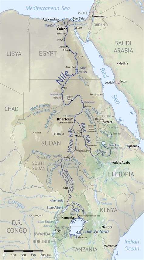 The nile 6,650 km /4,130 miles long with her at jinja town on the shores of lake victoria, is the longest river on the african continent. Nile Basin - Wikipedia