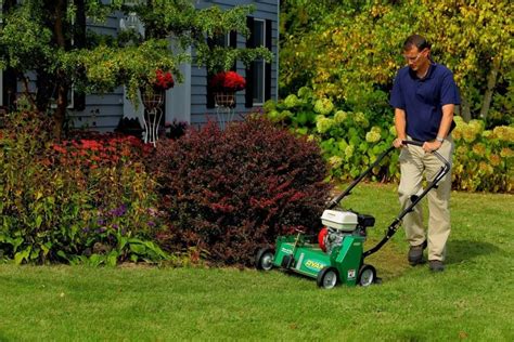 Thatch refers to grass clippings and other organic material that accumulates at if you suspect your grass needs a little room to breathe, a dethatcher may be the tool to help your lawn flourish. 5 Best Dethatchers For Your Lawn In 2020 (Compare Now)