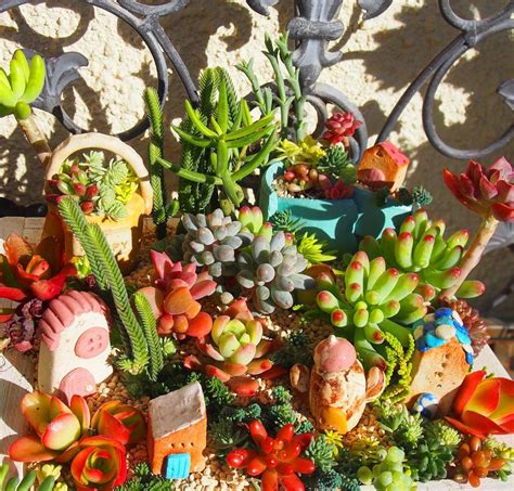 We think of them as two main types: 35 How To Make An Indoor Succulent Dish Garden