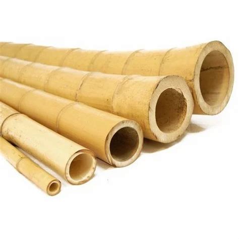 Brown Bamboo Poles At Best Price In Guwahati ID 13667098612