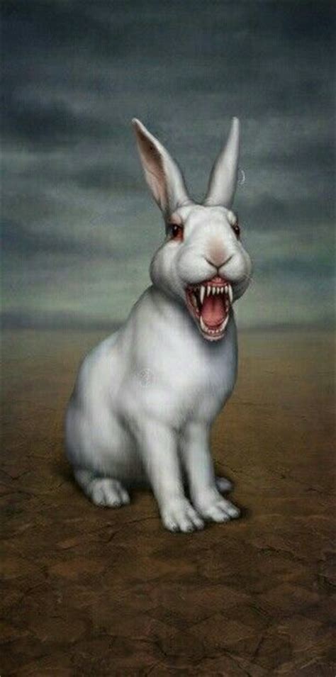 Scary Rabbit Photography Pinterest