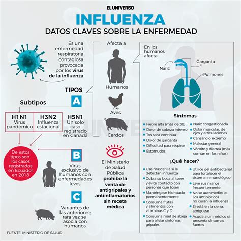 Conozca Los Síntomas De Influenza Gripe Ah1n1
