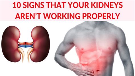 10 Signs That Your Kidneys Arent Working Properly Youtube