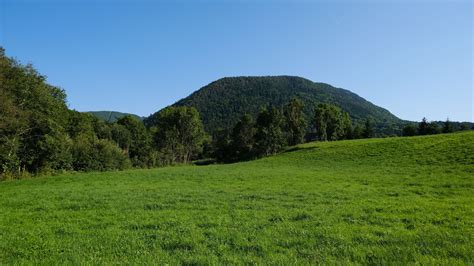 Green Trees Hills Grass Field Mountains Under Blue Sky 4k Hd Nature