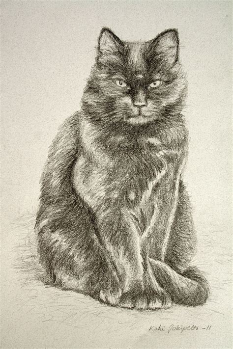 A copy from a study of holbein. Katri Jokipelto