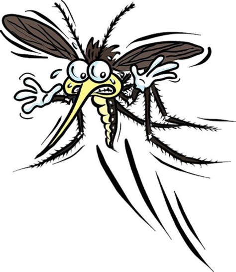 Mosquito Free Images At Vector Clip Art