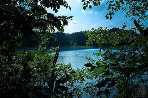 The Superb View Of Viridity In Goshikinuma Lakes Lets Go Seeing This