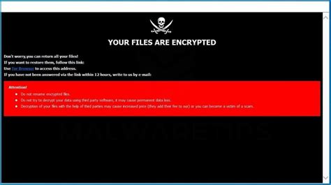 Remove Your Files Are Encrypted Ransomware Virus Guide