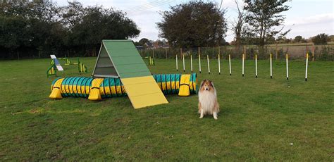 Dog Agility Field For Hire