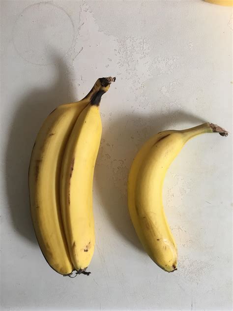 Conjoined Banana Twins Regular Banana For Comparison Purposes R