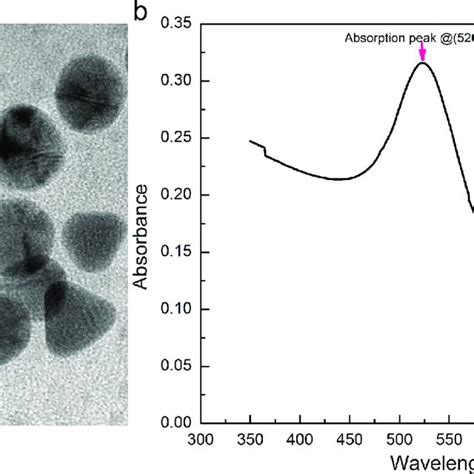 TEM Image Of The AuNPs Solution A And UV Vis Absorption Spectra Of