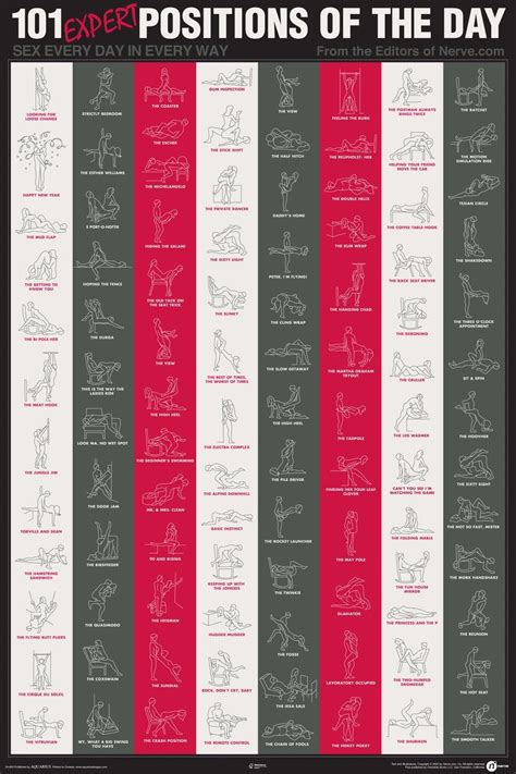 Nmraquarius 101 Expert Sex Postions Poster Unframed