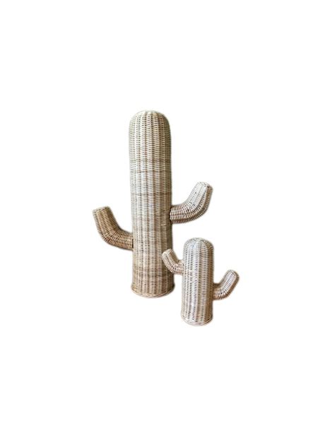 Rattan Cactuses Set