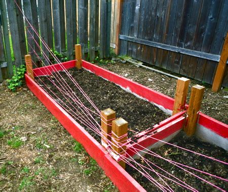 One affordable solution is to build a perimeter fence using chicken wire. Simple Solutions For A Shared Garden: A 'Twine Web' Wall ...