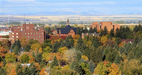 Hours, address, montana grizzly encounter reviews: Bozeman Montana Dude Ranches / Guest Ranch Vacations ...