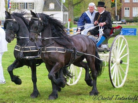 Two Black Horses Pulling A White Carriage With People In It On The