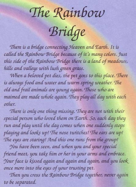 All Pets Go To The Rainbow Bridge Rainbow Bridge Poem Rainbow Bridge