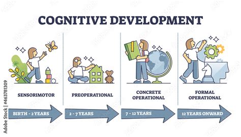 Cognitive Development Progress Stages By Age Vector Illustration
