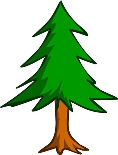 9 Best Images Of Cartoon Pine Trees With Branches White Pine