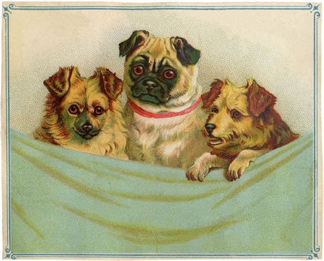 Vintage Puppies Clip Art The Graphics Fairy
