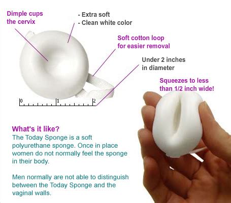 Buy Today Sponge Vaginal Contraceptive At Well Ca Free Shipping 35