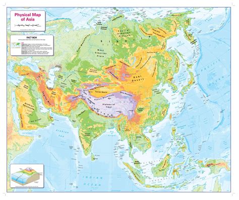 Childrens Physical Map Of Asia Shop Mapworld