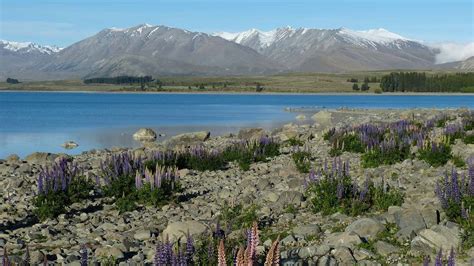 9 Best Multi-Day Hikes in New Zealand | Guest Post