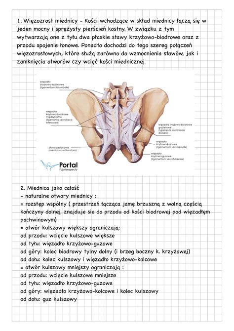 Kości i stawy kończyny dolnej i obręczy biodrowej Więzozrost miednicy Kości wchodzące w