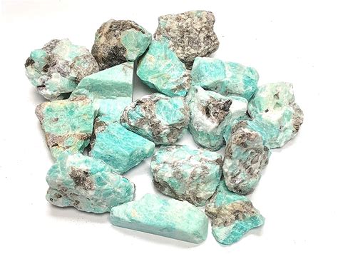 Amazonite - Lindsay Wildlife Experience