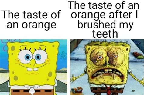 53 Relatable Memes That Are As Funny As They Are True Funny Spongebob