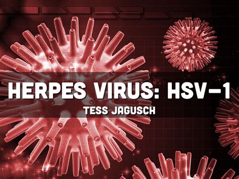 Just make sure to tell your partner prior to engaging in sexual activity. Herpes Virus: HSV-1 by Tess Jagusch